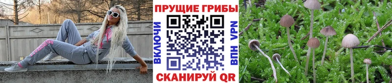 Галлюциногенные грибы ЛСД  Купить где  Кандалакша 